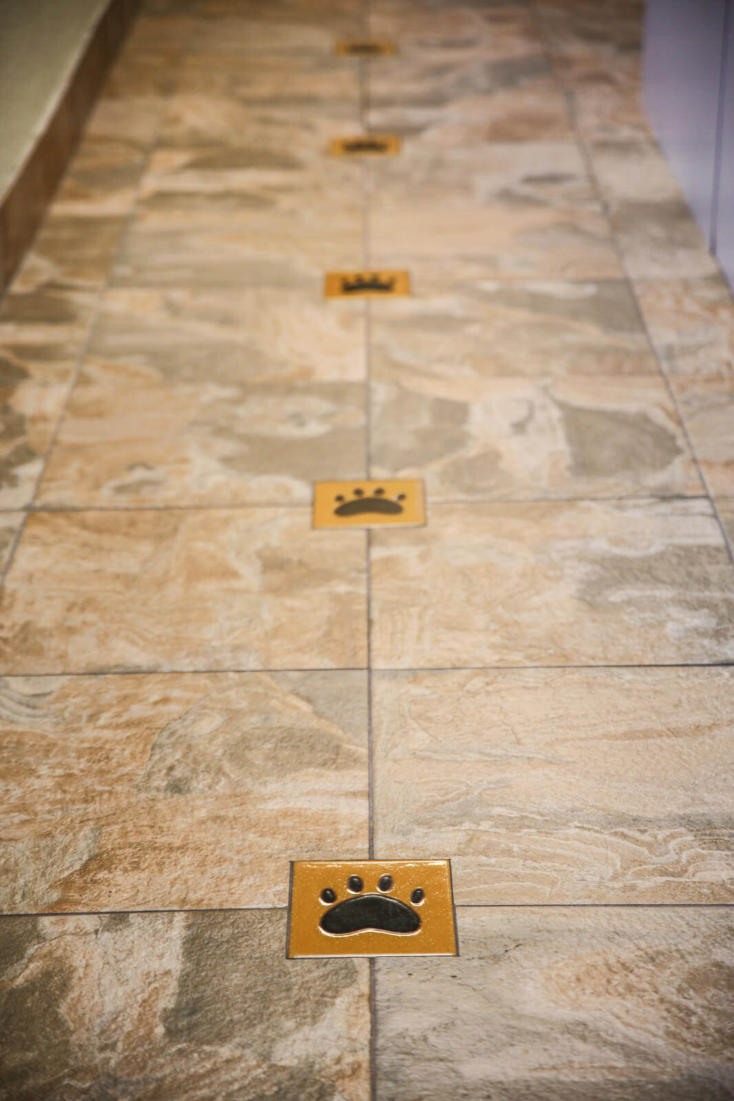 Floor with paw prints