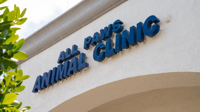 All Paws Animal Clinic