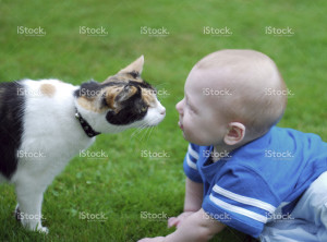 Cat and Baby