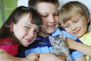 Cat with family
